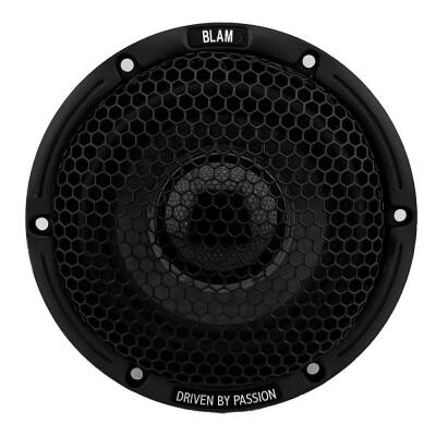 LM80 BLAM 8 cm Center Midrange - 2